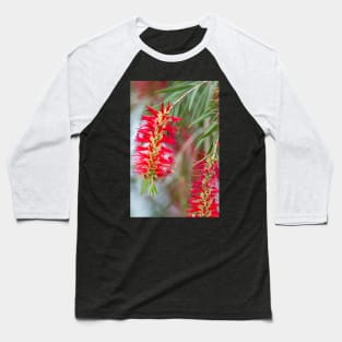 Weeping Bottlebrush Red Blooms Baseball T-Shirt